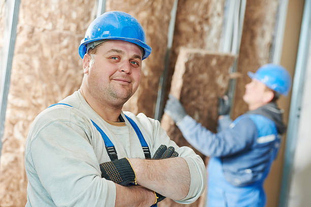 Best Basement Insulation  in , DC